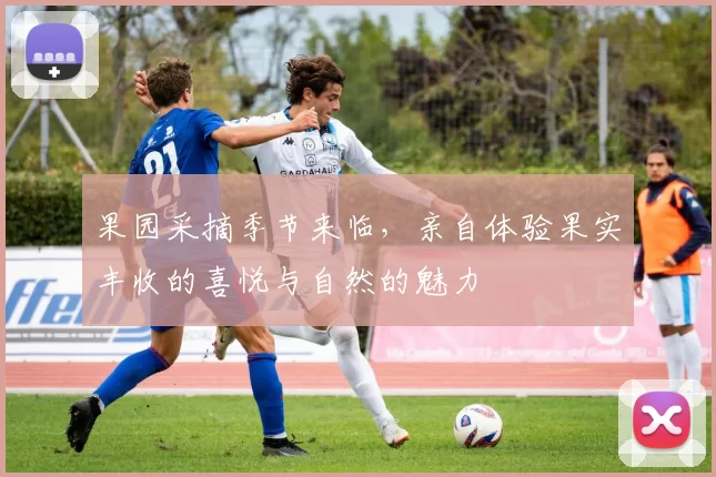 果园采摘季节来临，亲自体验果实丰收的喜悦与自然的魅力
