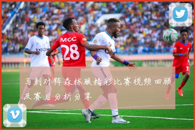 马刺对阵森林狼精彩比赛视频回顾及赛后分析分享