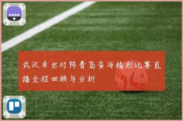 武汉卓尔对阵青岛黄海精彩比赛直播全程回顾与分析