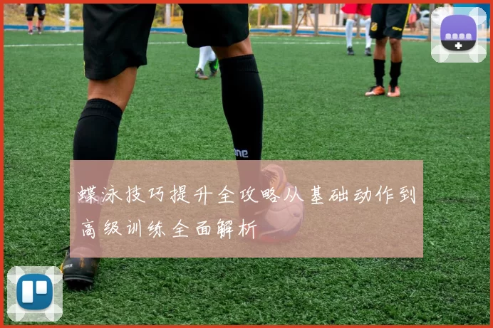 蝶泳技巧提升全攻略从基础动作到高级训练全面解析